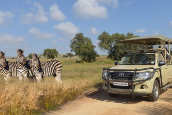 Picture of vehicle on  game drive for Soweto & Park Tour