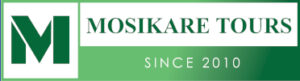 Mosikare logo small